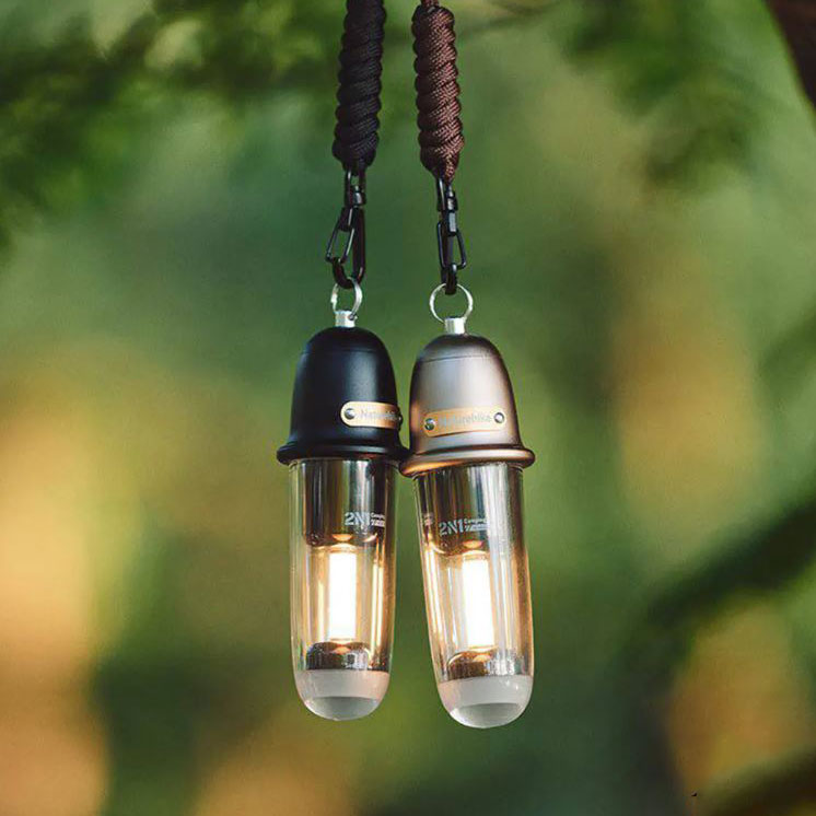 چراغ آویز نیچرهایک مدل CNK2350ZM010